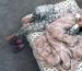 person lying in bed with gray blanket
